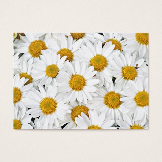 Daisies (Front)