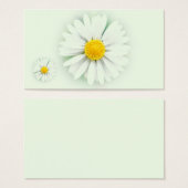Daisies (Front & Back)