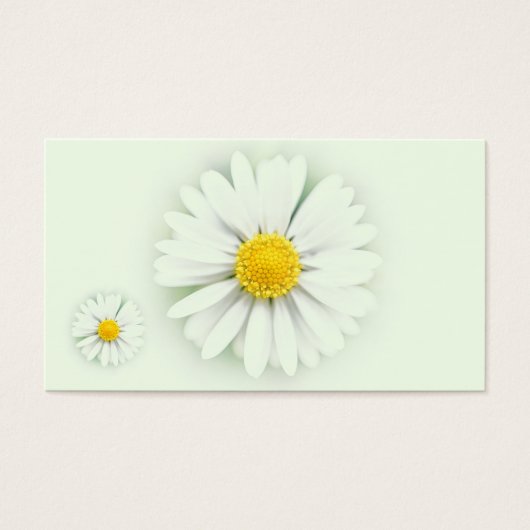 Daisies (Front)