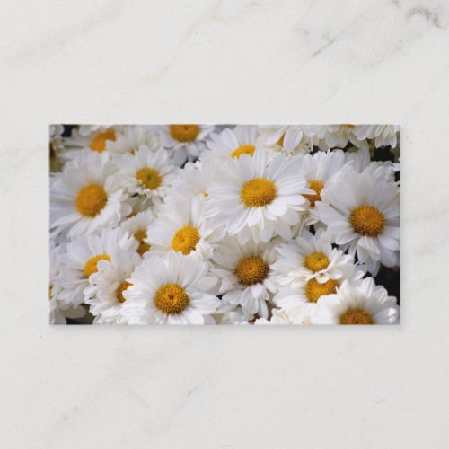 Daisies Abound [Business] Business Cards