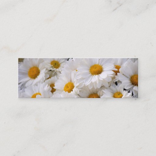Customizable Daisies Abound [Skinny] Business Card
