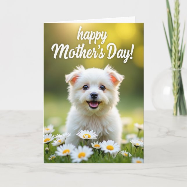 Daisies And Dog Mothers Day Card (Front)