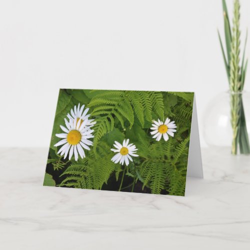 Daisies and Ferns envelope included Card