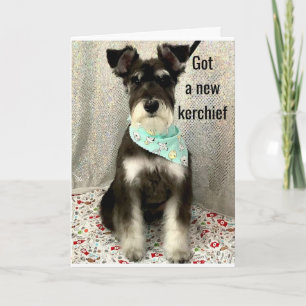 *DAISIES AND HAPPINESS ALL DAY* **BIRTHDAY** CARD