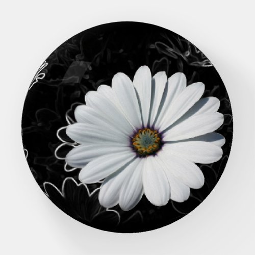 Daisies and shades of gray paperweight