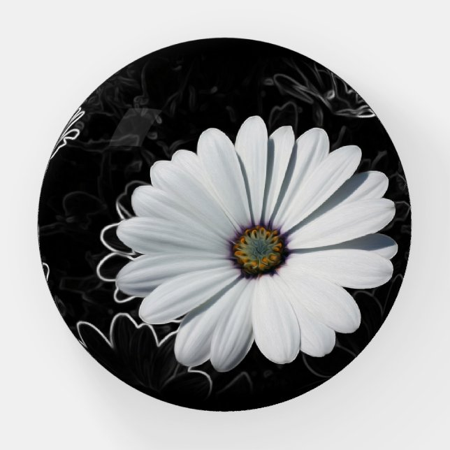 Daisies and shades of gray paperweight (Front)