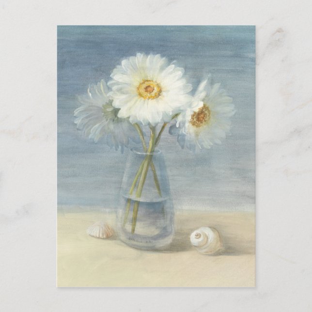 Daisies and Shells Postcard (Front)