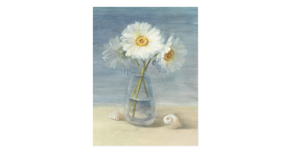 Daisies and Shells Postcard | Zazzle.com