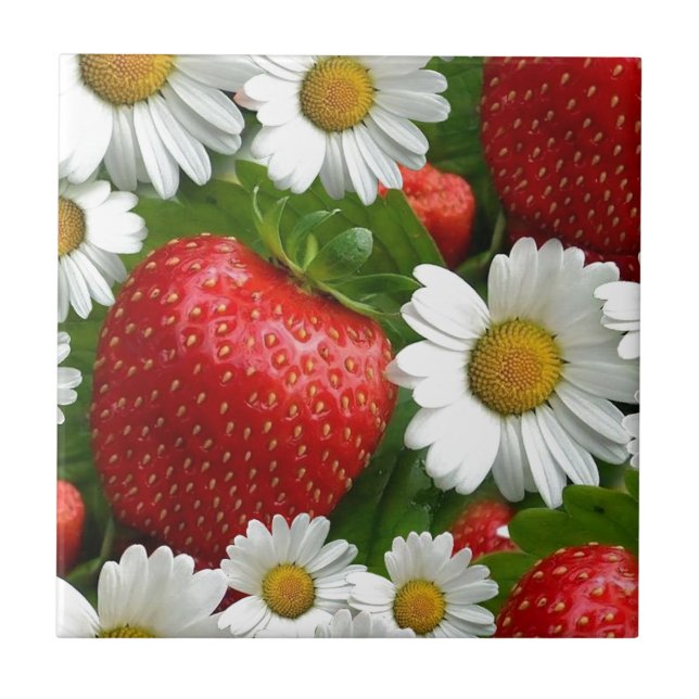 Daisies and Strawberries Ceramic Tile (Front)