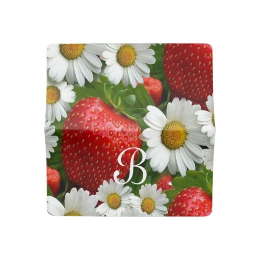 Daisies and Strawberries Checkbook Cover (Open)