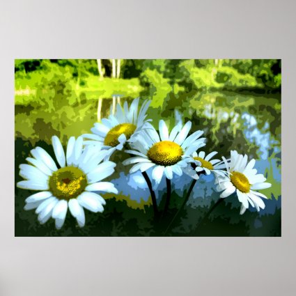 Daisies at the Pond Poster