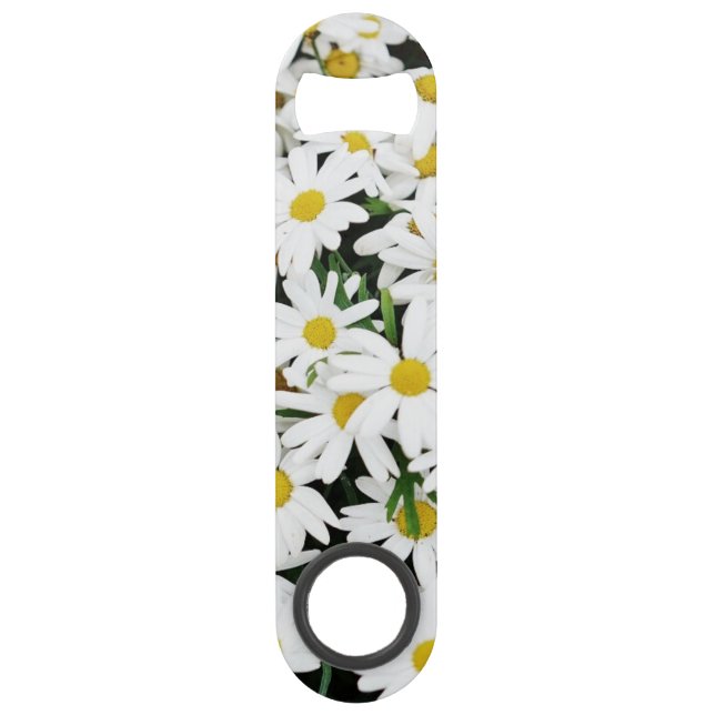 Daisies Bar Key (Front)