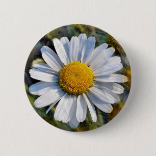 DAISIES BUTTON