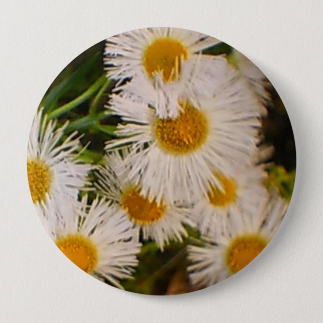 Daisies Button (Front)