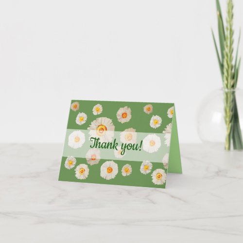 Daisies  card