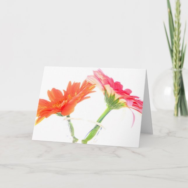 Daisies Card (Front)