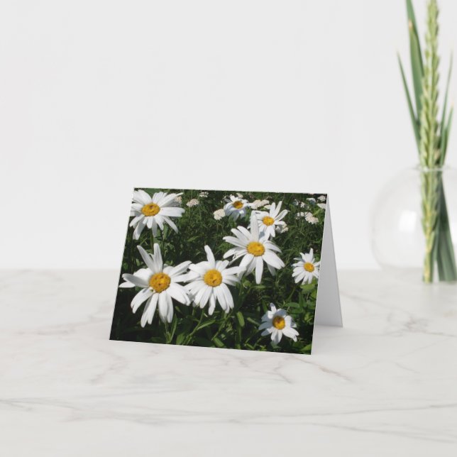 Daisies Card (Front)