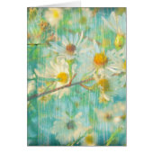 Daisies Cards (Front)