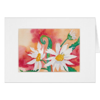 Daisies Cards