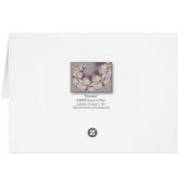 Daisies Cards (Back Horizontal)