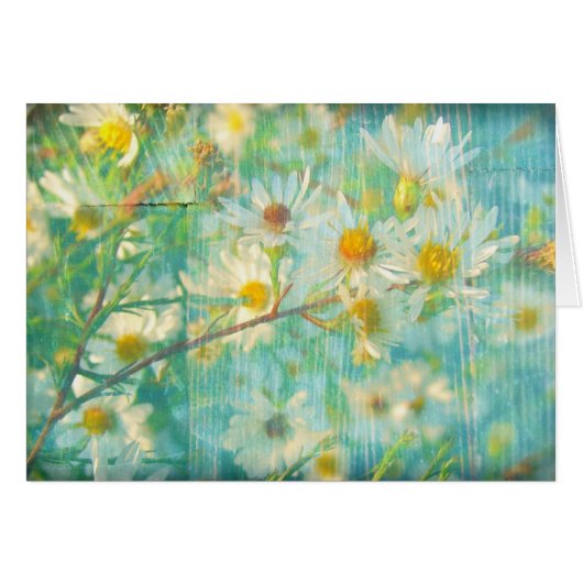 Daisies Cards (Front Horizontal)