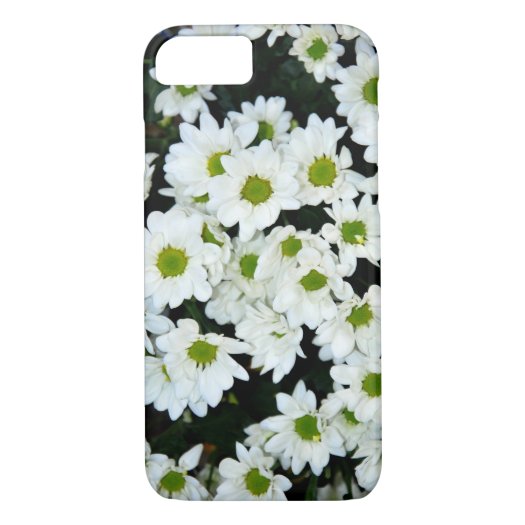 Daisies
