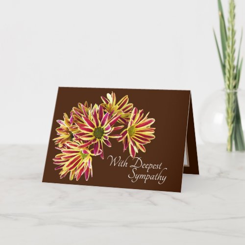 Daisies Chocolate Brown Background Sympathy Card