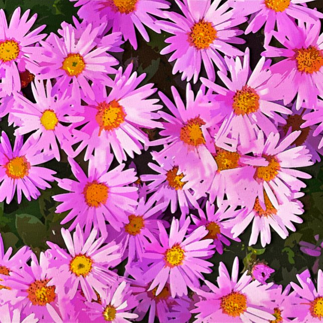 DAISIES CLASSIC ROUND STICKER (A watercolor of pretty pink daisies. )