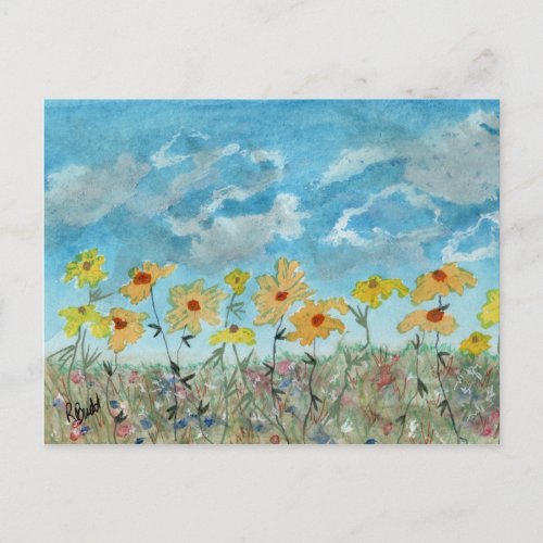 Daisies  Clouds Postcard