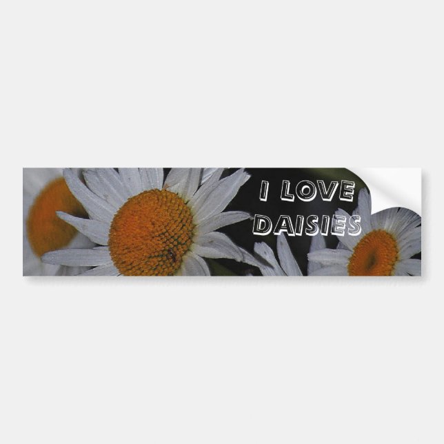 Daisies Daisies Daisies Flowers Bumper Sticker (Front)
