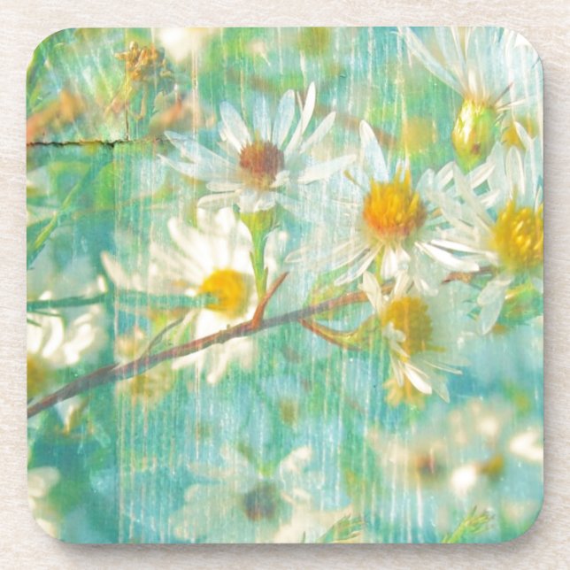Daisies Drink Coaster (Front)