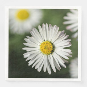 Daisies Floral Photography Paper Dinner Napkins