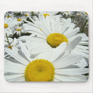 Daisies Flowers mousepad White Daisy gifts