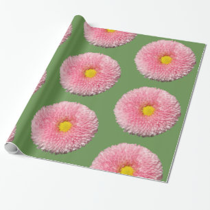 Daisies Glossy Wrapping Paper, 30 in x 6 ft Wrapping Paper