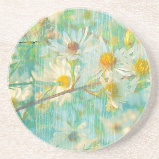 Daisies Grunge Coaster (Front)