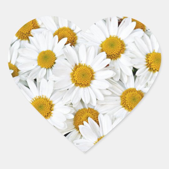 Daisies Heart Sticker