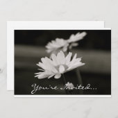 Daisies in Black and White Invitation (Front/Back)