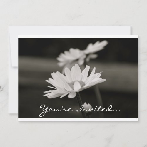 Daisies in Black and White Invitation