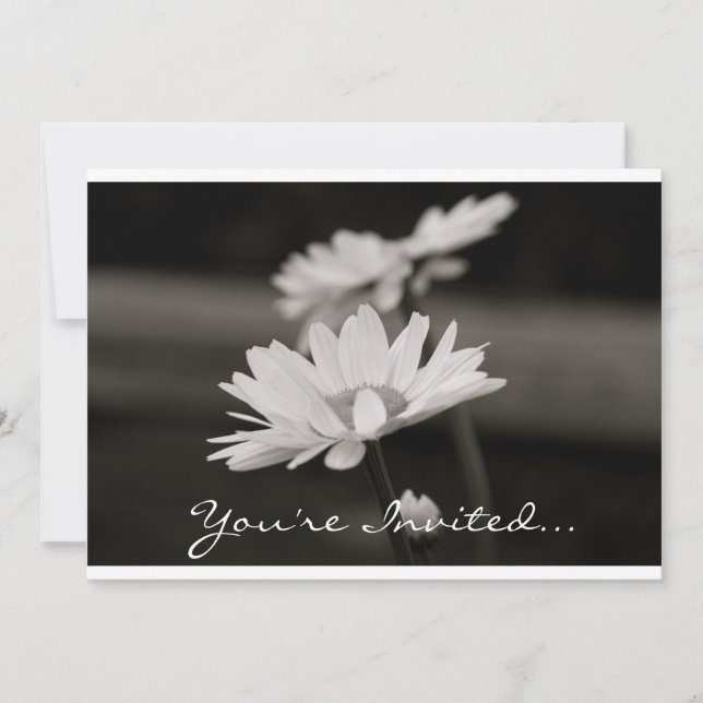 Daisies in Black and White Invitation (Front)