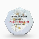 Daisies in Sunshine Acrylic Award<br><div class="desc">A bouquet of white daisies with yellow centers is presented against a pale blue background.  White daisies represent purity and innocence with their fresh appearance.</div>