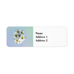 Daisies in Sunshine II Label