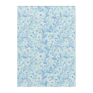 Daisies in white and blue on sea glass acrylic print