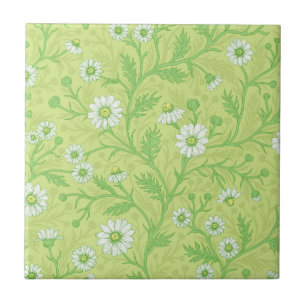 Daisies in white and green on honey dew green ceramic tile