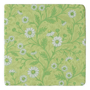 Daisies in white and green on honey dew green trivet