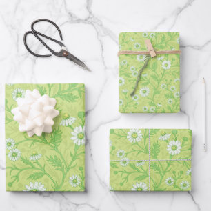 Daisies in white and green on honey dew green wrapping paper sheets