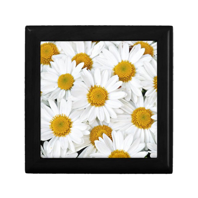 Daisies Jewelry Box (Front)