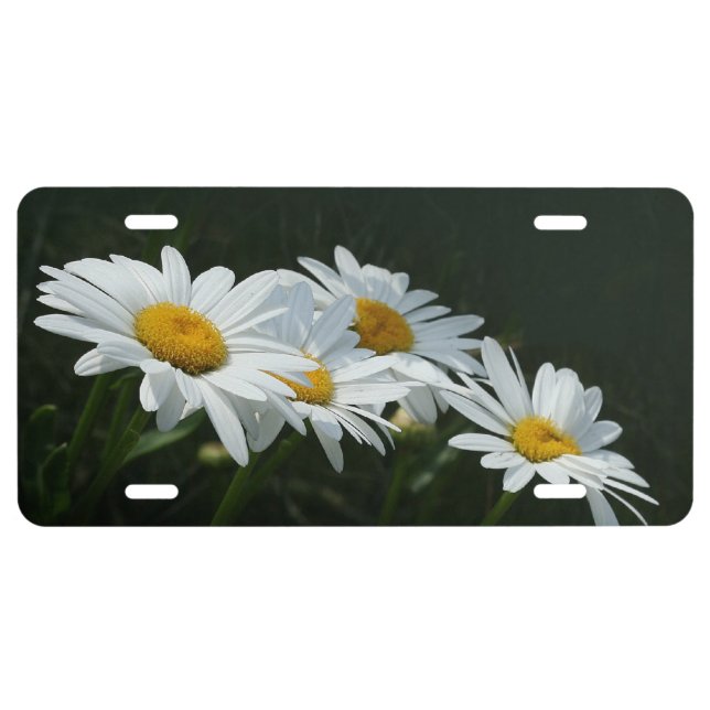 Daisies License Plate (Front)