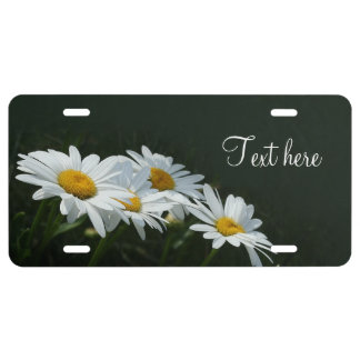 Daisies License Plate