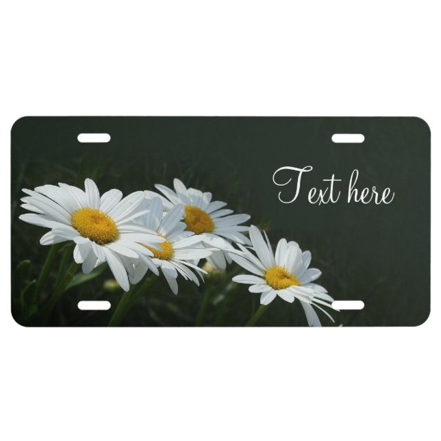 Daisies License Plate (Front)