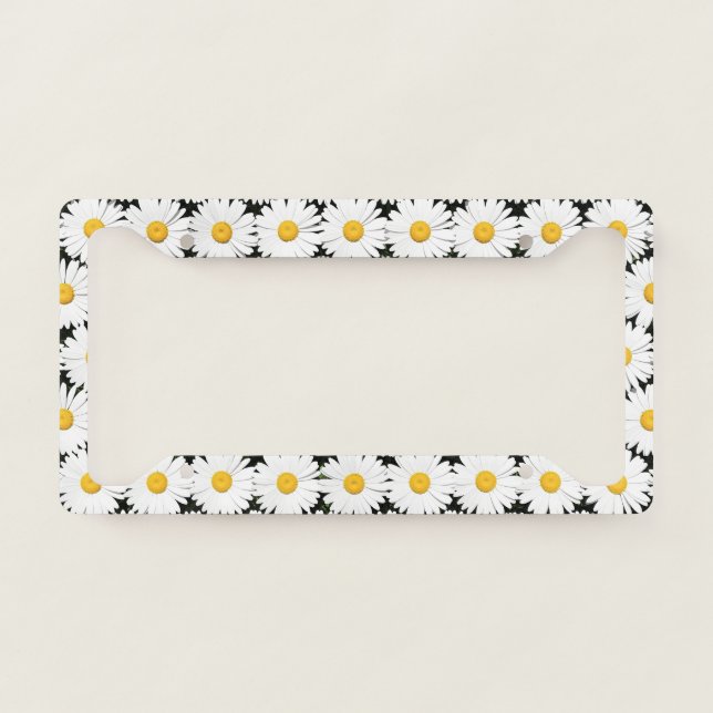 Daisies License Plate Frame (Front)